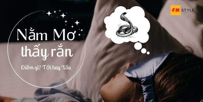 3. Giải mã giấc mơ thấy rắn theo màu sắc